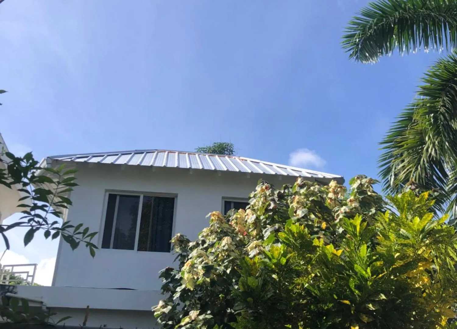Estudio Hernandez Las Terrenas Campingplads