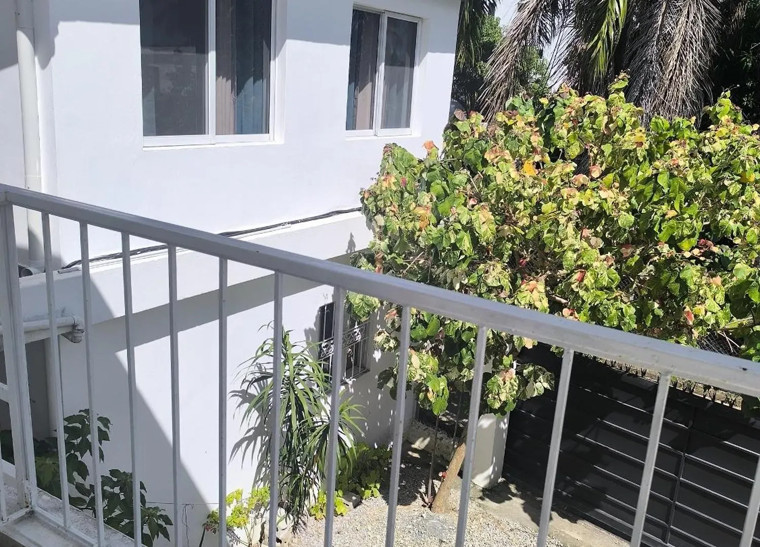 Campingplads Estudio Hernandez Las Terrenas